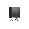 Lory 2 Door Wall Cabinet with Hanging Rod, Black - Black