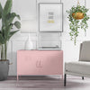 Cache 2 Door Metal Locker Accent Cabinet - Bashful